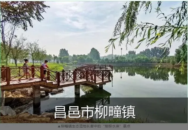 昌邑市柳疃镇
